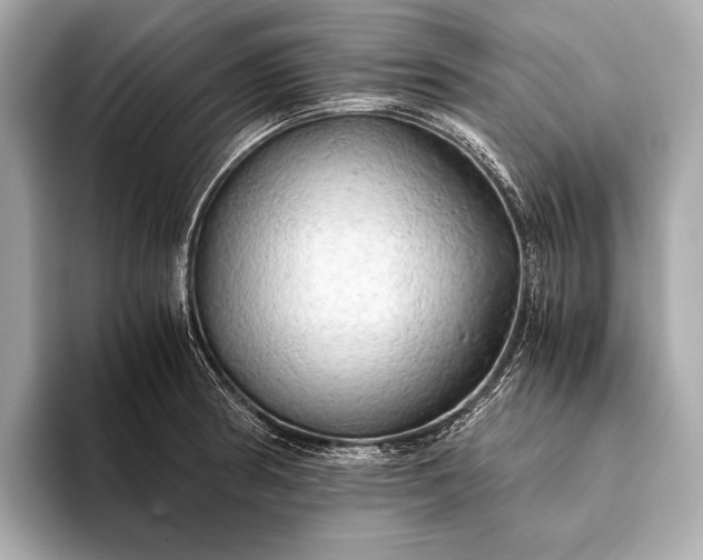 X0000093411186200710260931