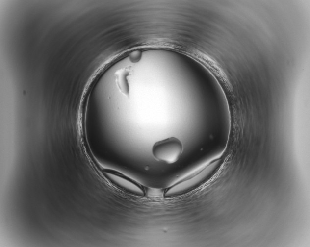 X0000093411188200710260931