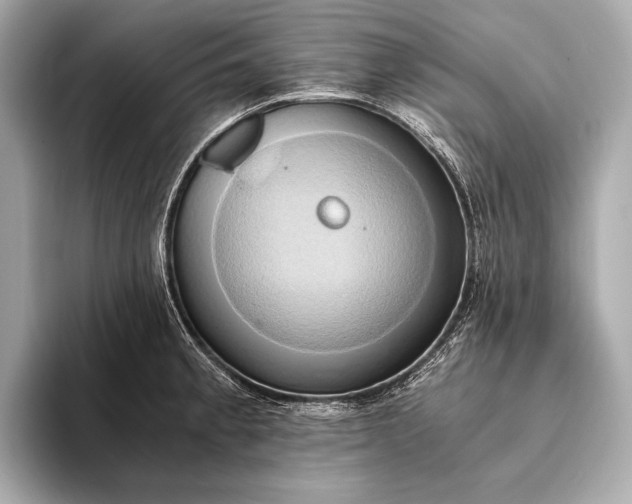 X0000093411189200710260931