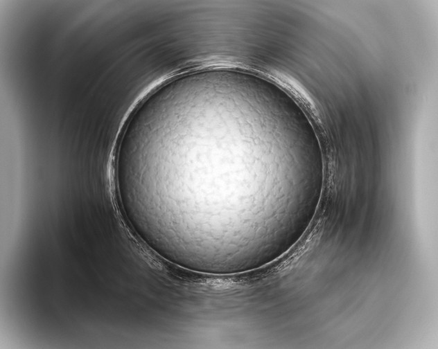 X0000093411190200710260931