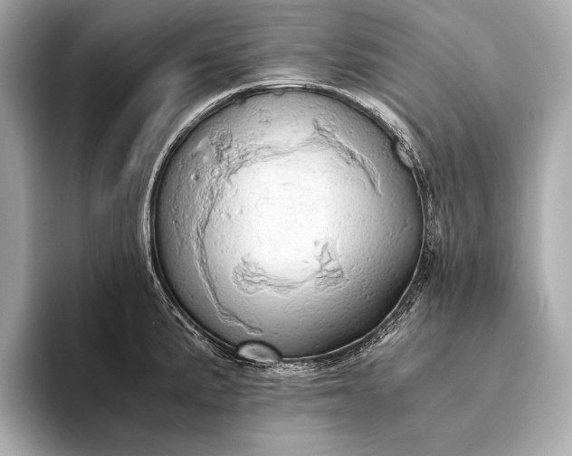 X0000093411191200710260931