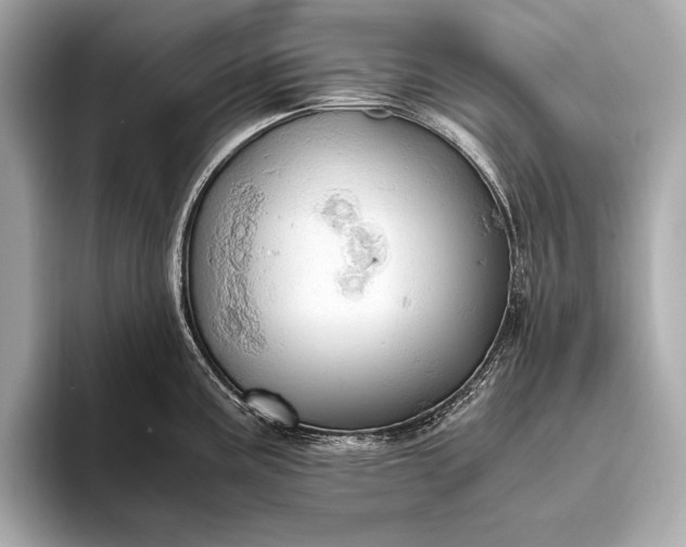 X0000093411195200710260931