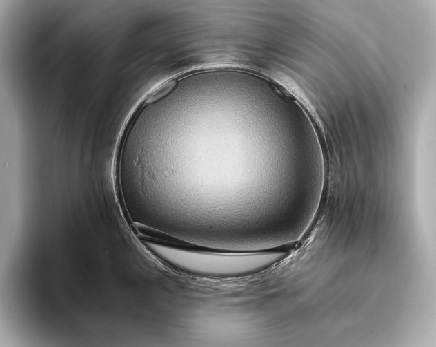 X0000093411197200710260931