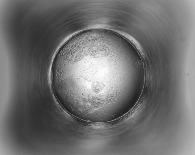 X0000093411199200710260931