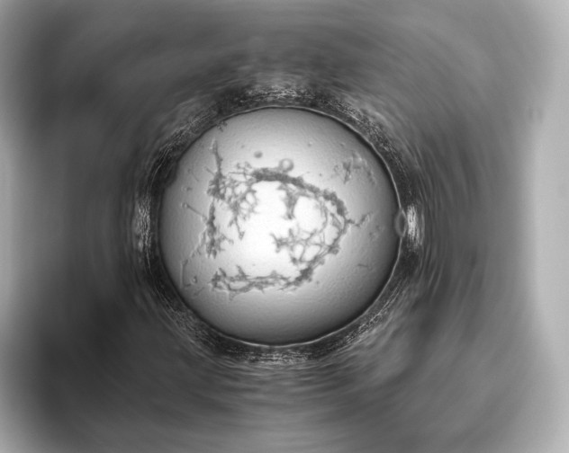 X0000093411203200710260931