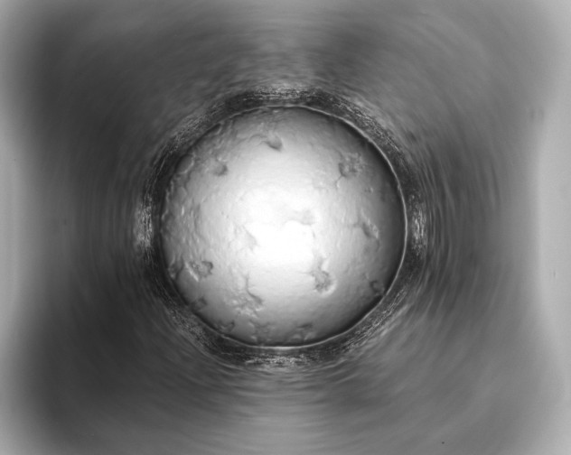 X0000093411204200710260931