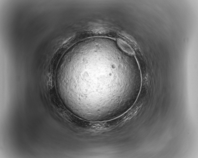 X0000093411205200710260931