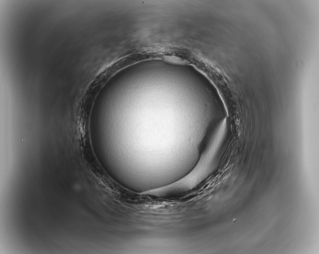 X0000093411206200710260931