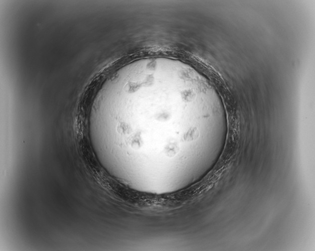 X0000093411207200710260931