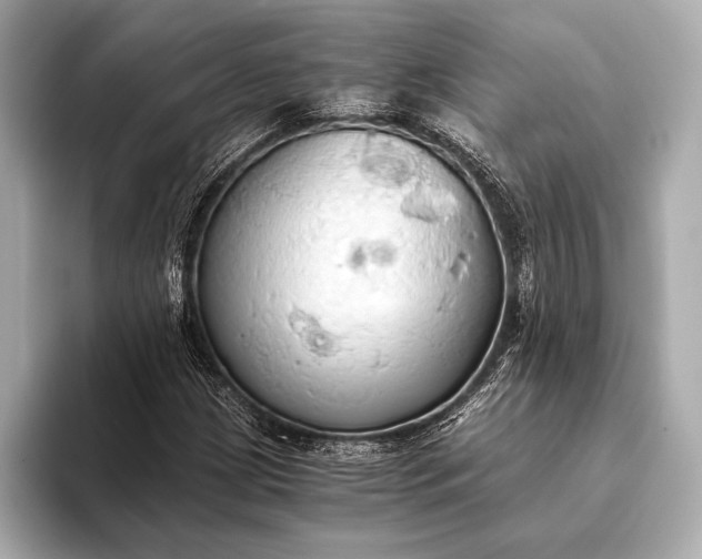 X0000093411209200710260931