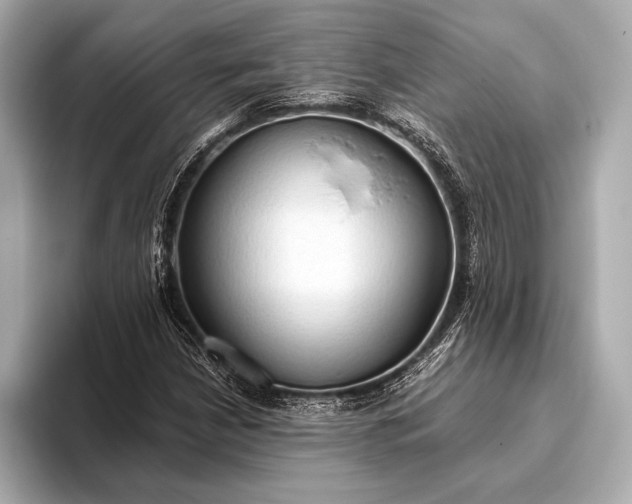 X0000093411210200710260931