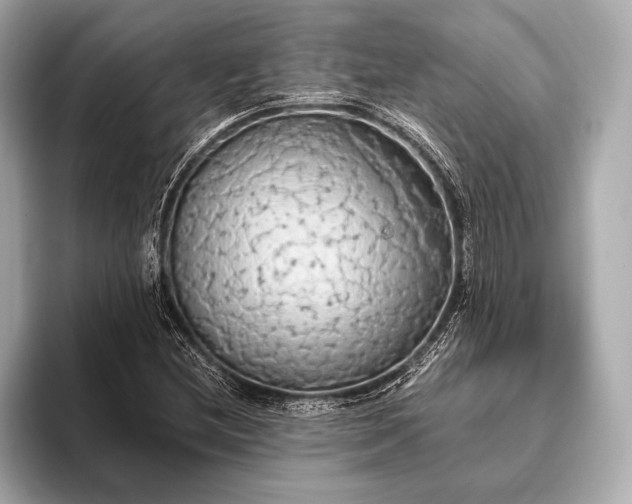 X0000093411212200710260931