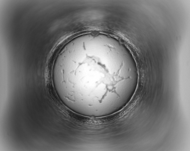 X0000093411215200710260931