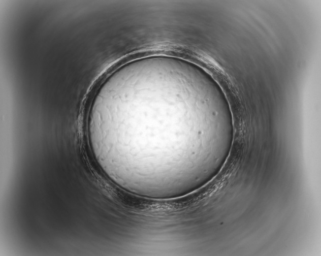 X0000093411216200710260931