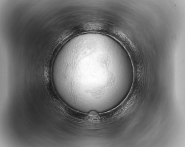 X0000093411217200710260931