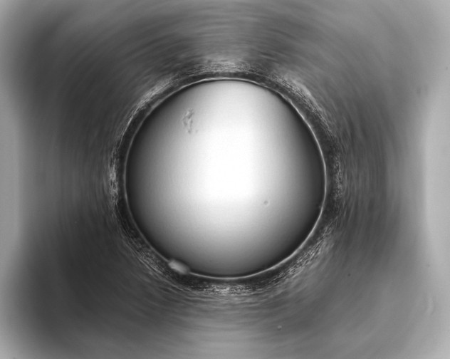 X0000093411218200710260931