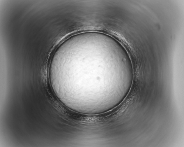 X0000093411220200710260931