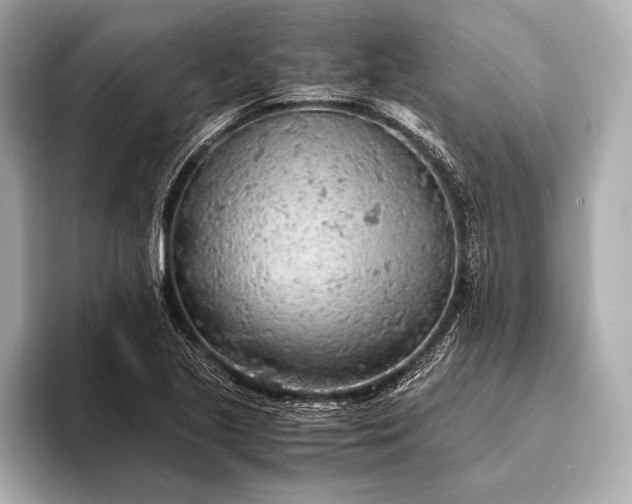 X0000093411221200710260931