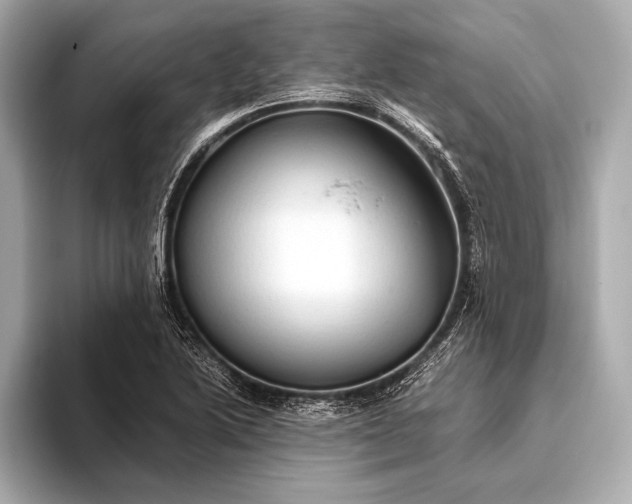 X0000093411222200710260931