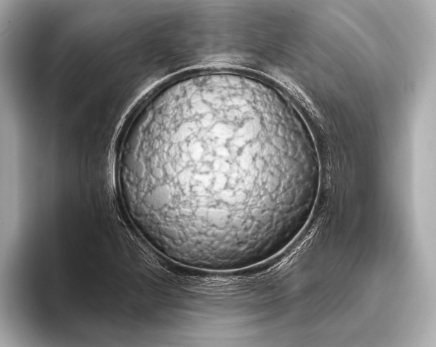 X0000093411224200710260931