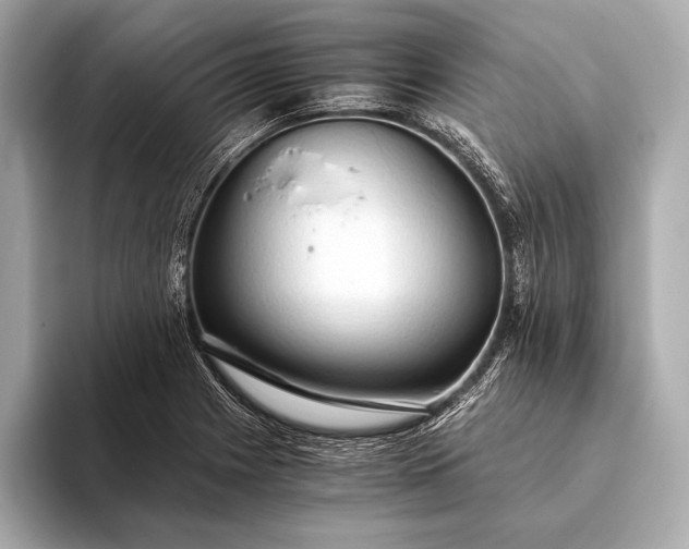 X0000093411225200710260931