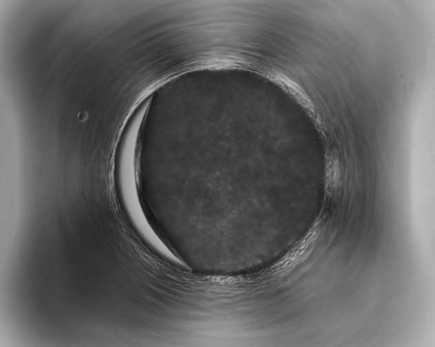 X0000093411226200710260931