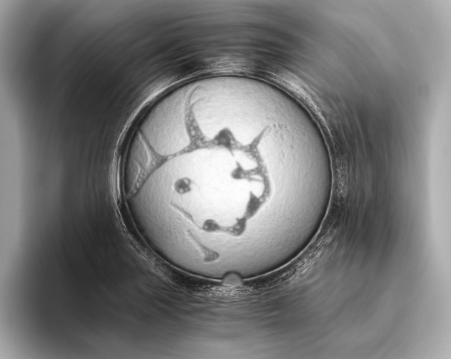 X0000093411227200710260931