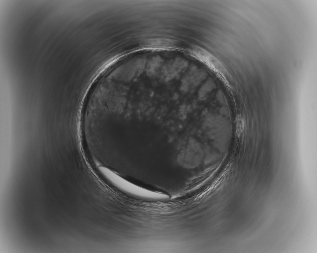 X0000093411229200710260931