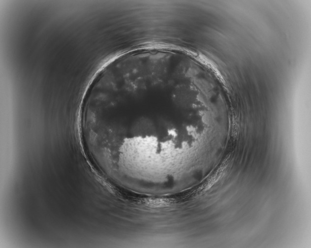 X0000093411231200710260931