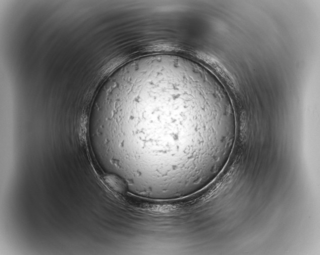 X0000093411233200710260931