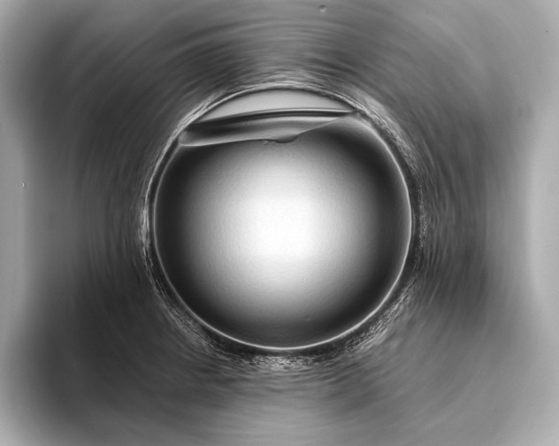 X0000093411234200710260931