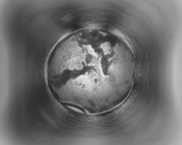 X0000093411235200710260931