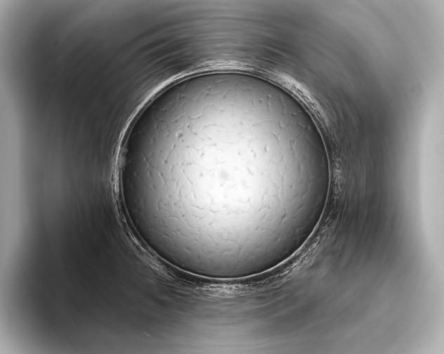 X0000093411236200710260931