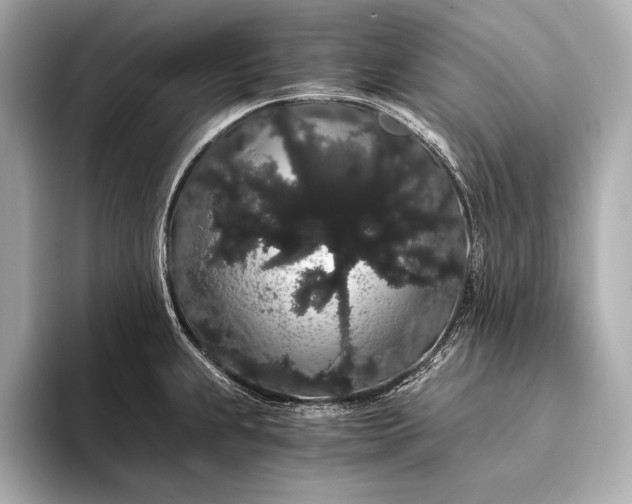 X0000093411239200710260931