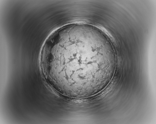 X0000093411240200710260931