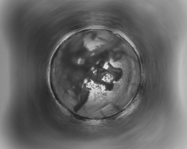 X0000093411245200710260931