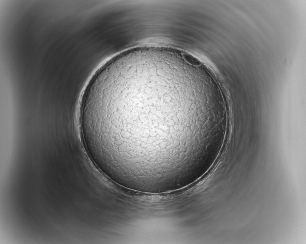 X0000093411248200710260931