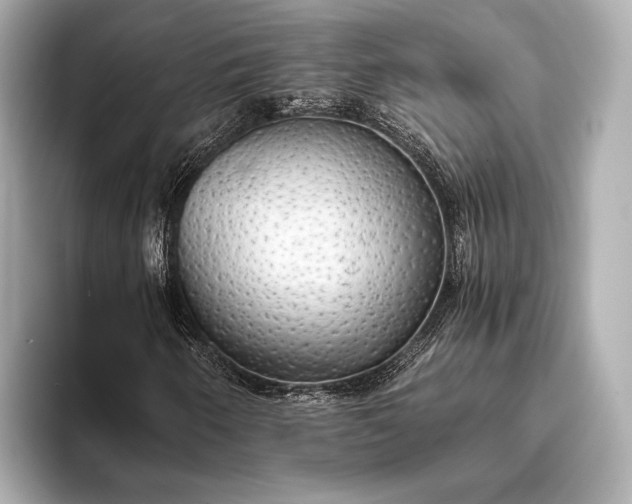 X0000093411250200710260931