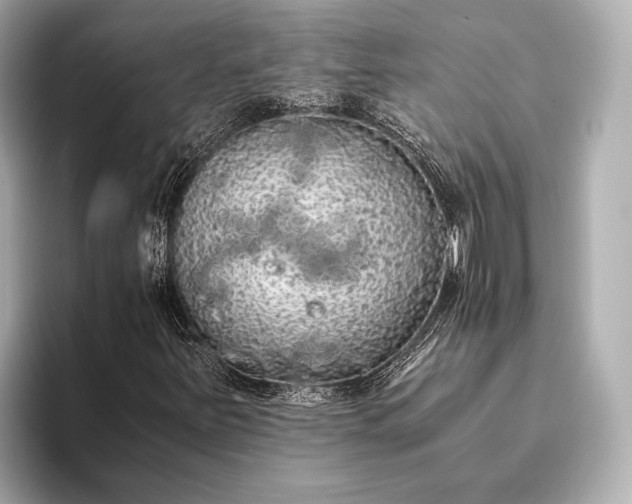 X0000093411251200710260930