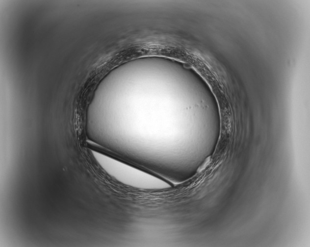 X0000093411253200710260930