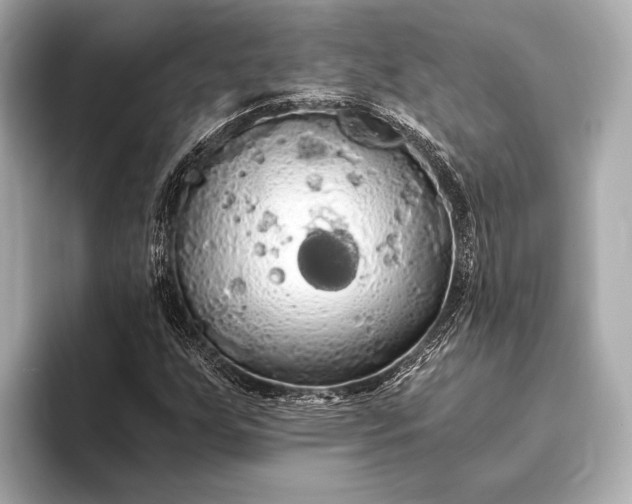 X0000093411255200710260930