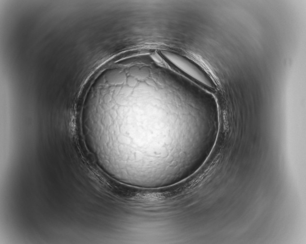 X0000093411260200710260930