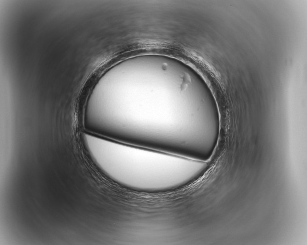 X0000093411261200710260930