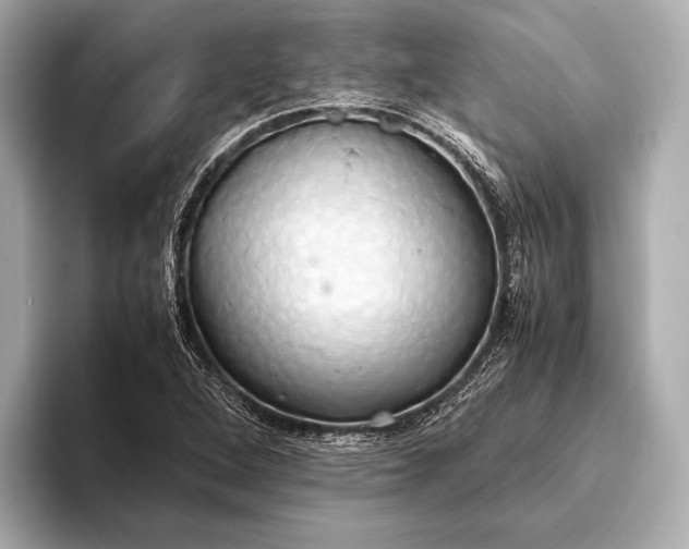 X0000093411264200710260930