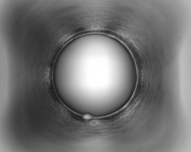 X0000093411265200710260930