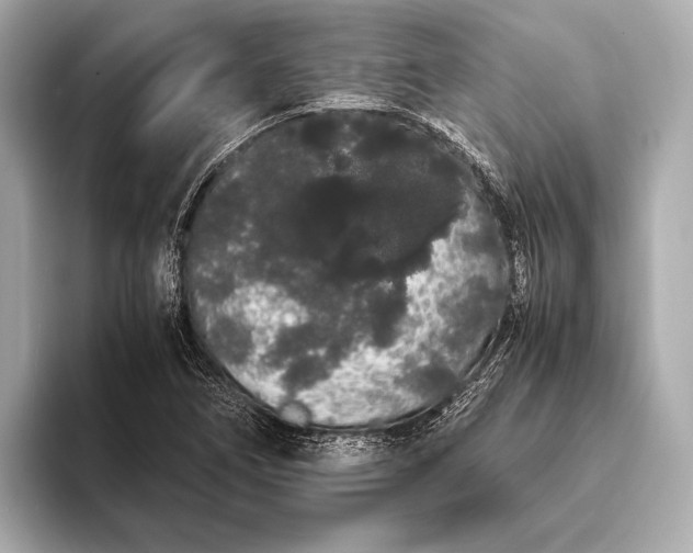 X0000093411266200710260930