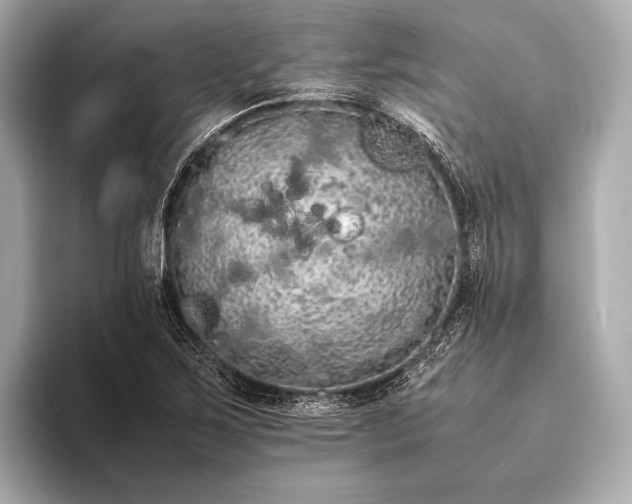 X0000093411267200710260930