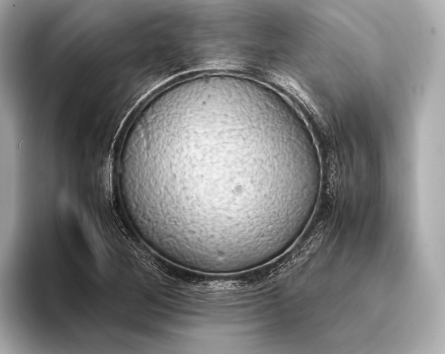 X0000093411268200710260930