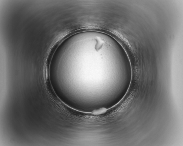 X0000093411269200710260930