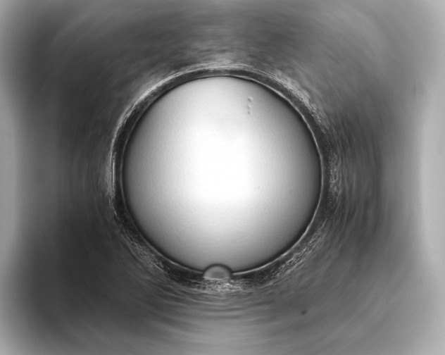 X0000093411270200710260930